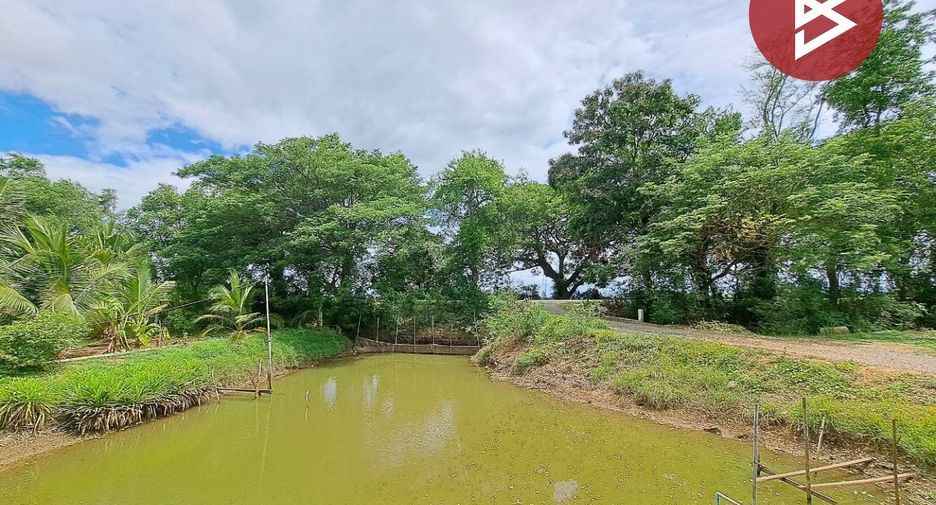 For sale land in Song Phi Nong, Suphan Buri