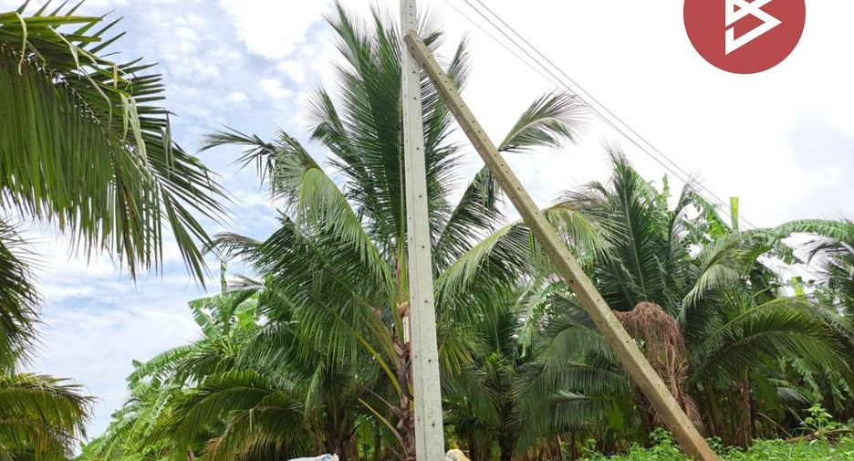 For sale land in Song Phi Nong, Suphan Buri