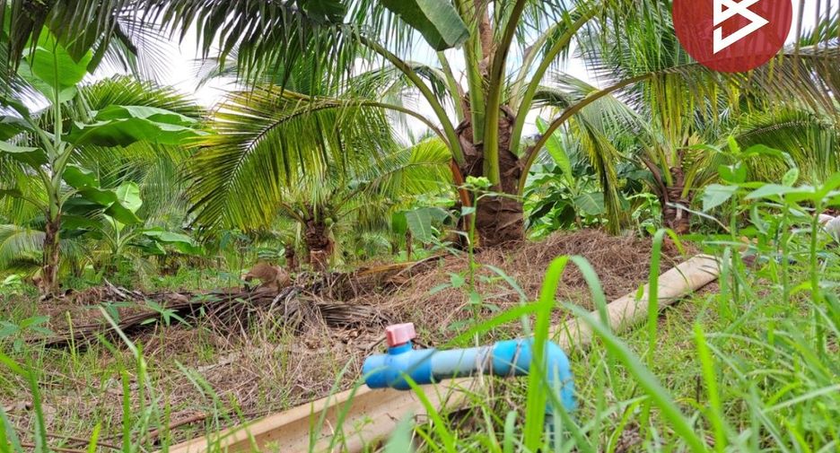 For sale land in Song Phi Nong, Suphan Buri