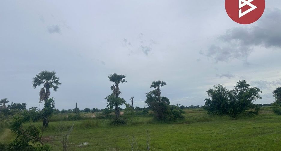 For sale land in Bamnet Narong, Chaiyaphum