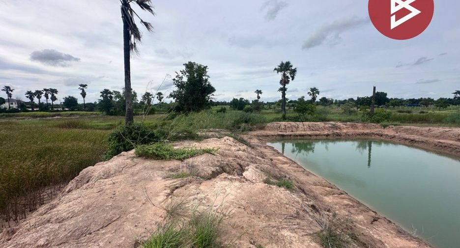 For sale land in Bamnet Narong, Chaiyaphum