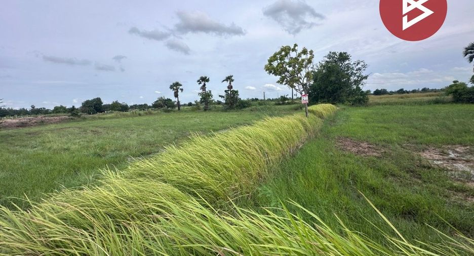 For sale land in Bamnet Narong, Chaiyaphum