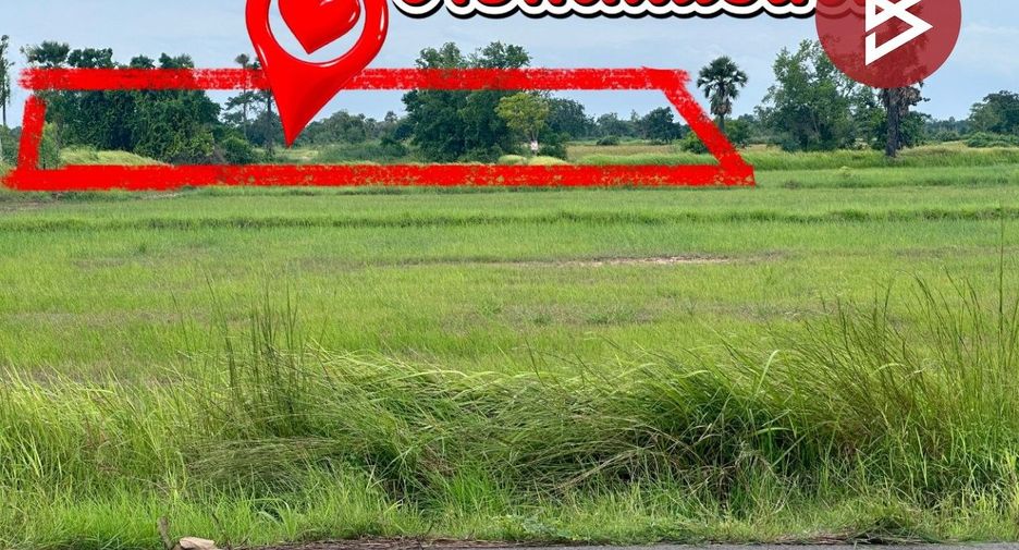 For sale land in Bamnet Narong, Chaiyaphum
