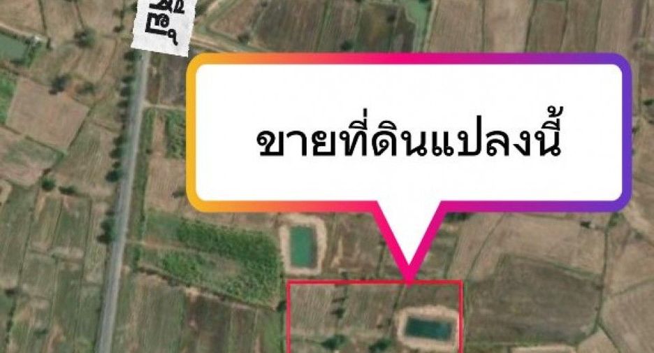 For sale land in Bamnet Narong, Chaiyaphum