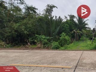 For sale land in Bang Nam Priao, Chachoengsao