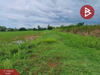 For sale land in Song Phi Nong, Suphan Buri