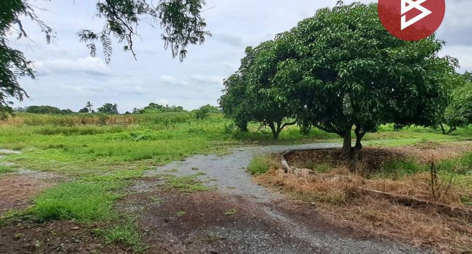 For sale land in Song Phi Nong, Suphan Buri