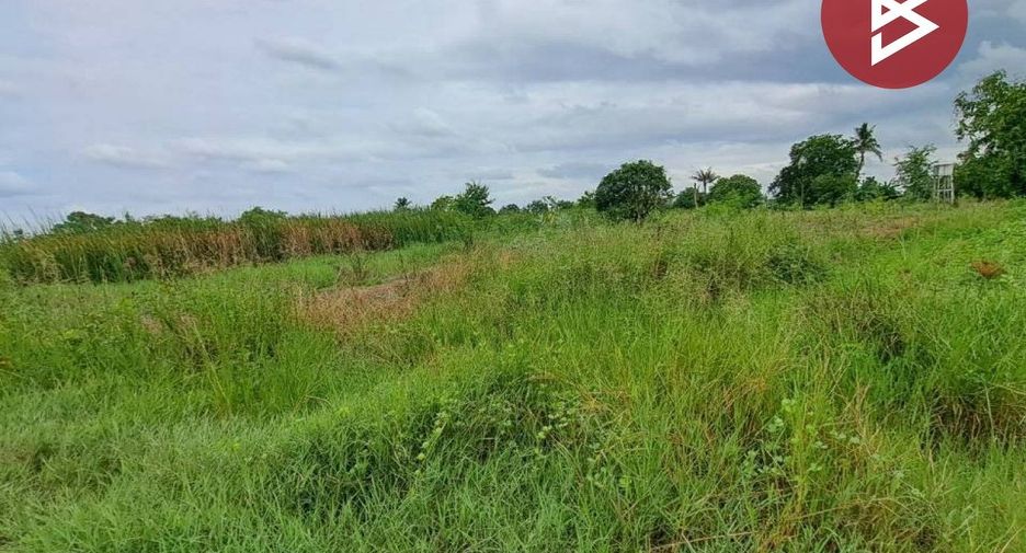 For sale land in Song Phi Nong, Suphan Buri