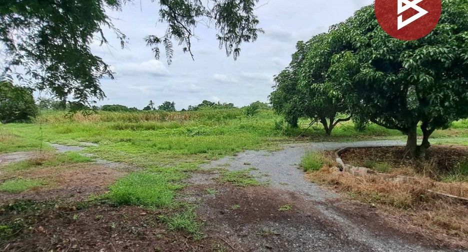 For sale land in Song Phi Nong, Suphan Buri
