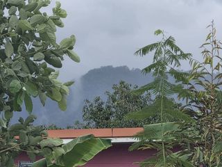 出售 土地 在 Mueang Rayong, Rayong