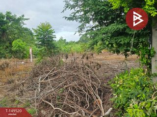 For sale land in Suan Phueng, Ratchaburi