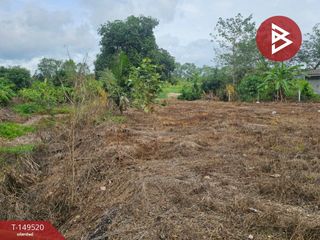 For sale land in Suan Phueng, Ratchaburi