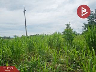 For sale land in Suan Phueng, Ratchaburi