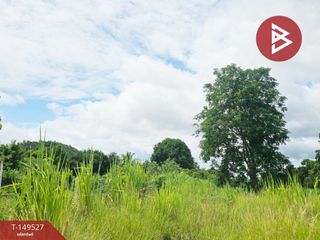 For sale land in Suan Phueng, Ratchaburi