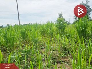 For sale land in Suan Phueng, Ratchaburi