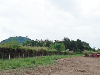 For sale land in Suan Phueng, Ratchaburi