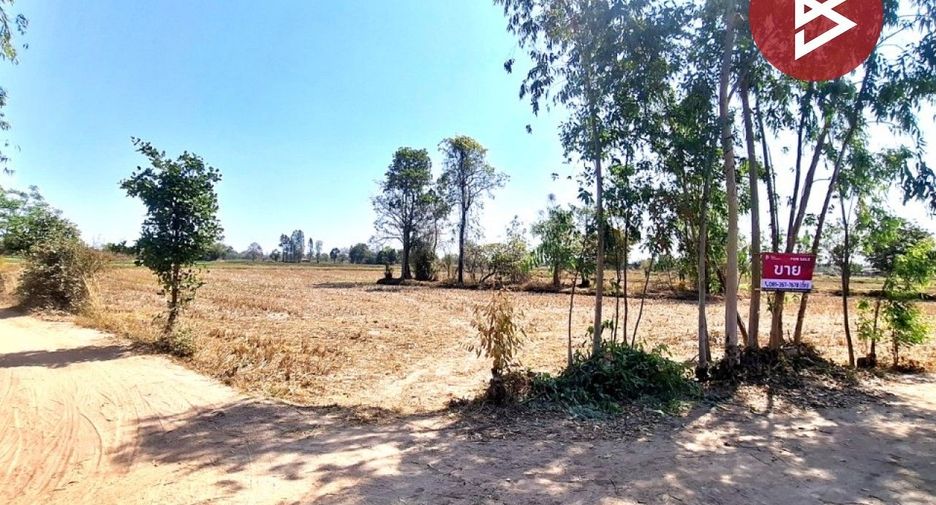 For sale land in Changhan, Roi Et