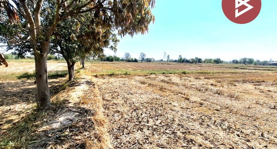 For sale land in Changhan, Roi Et