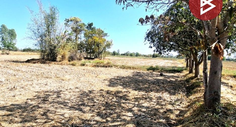 For sale land in Changhan, Roi Et