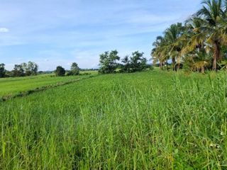For sale land in Wiang Chiang Rung, Chiang Rai