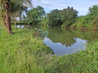 For sale land in Wiang Chiang Rung, Chiang Rai