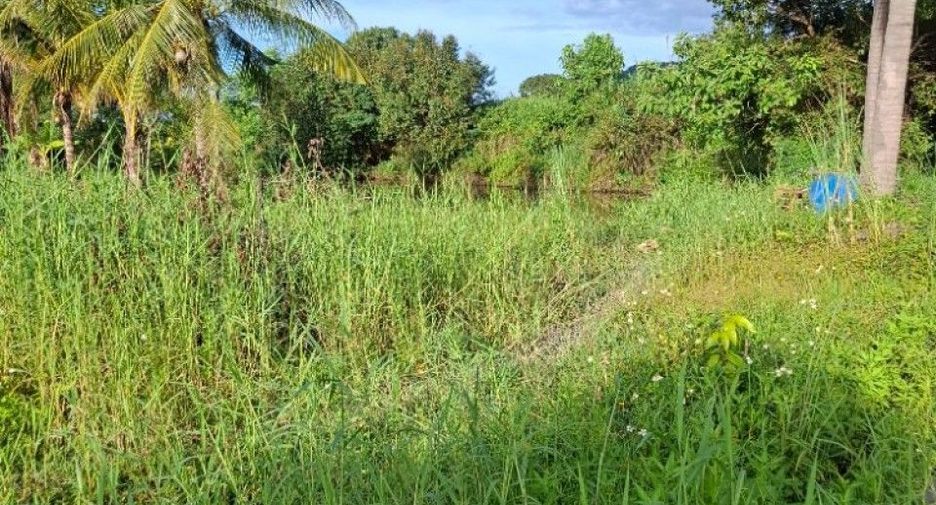 For sale land in Wiang Chiang Rung, Chiang Rai
