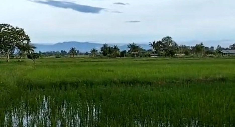 For sale land in Wiang Chiang Rung, Chiang Rai