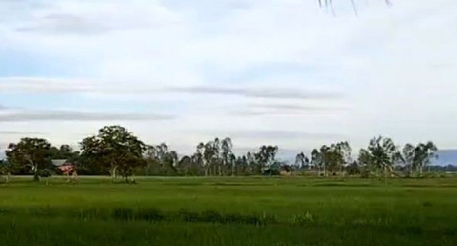 For sale land in Wiang Chiang Rung, Chiang Rai