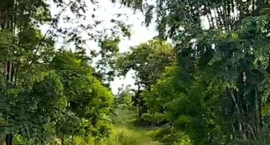 For sale land in Wiang Chiang Rung, Chiang Rai