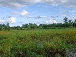 For sale land in Wiang Chiang Rung, Chiang Rai