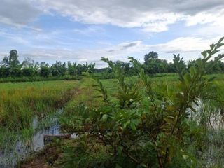 For sale land in Wiang Chiang Rung, Chiang Rai