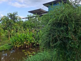 For sale land in Wiang Chiang Rung, Chiang Rai