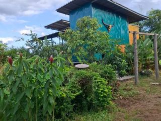 For sale land in Wiang Chiang Rung, Chiang Rai