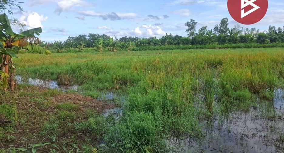 For sale land in Wiang Chiang Rung, Chiang Rai