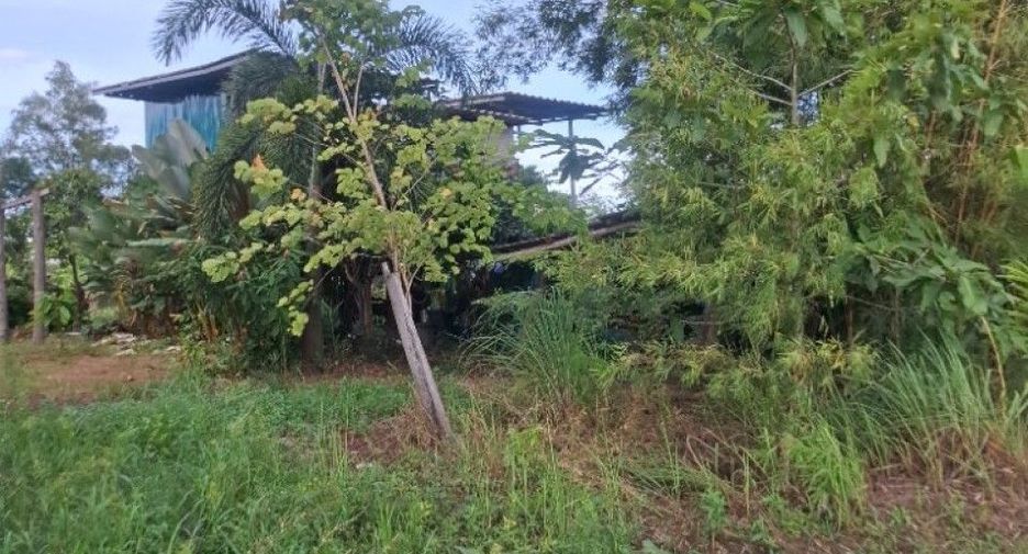 For sale land in Wiang Chiang Rung, Chiang Rai