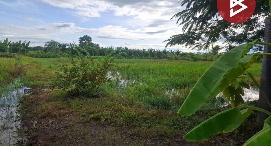 For sale land in Wiang Chiang Rung, Chiang Rai