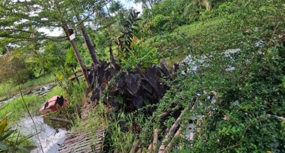 For sale land in Wiang Chiang Rung, Chiang Rai