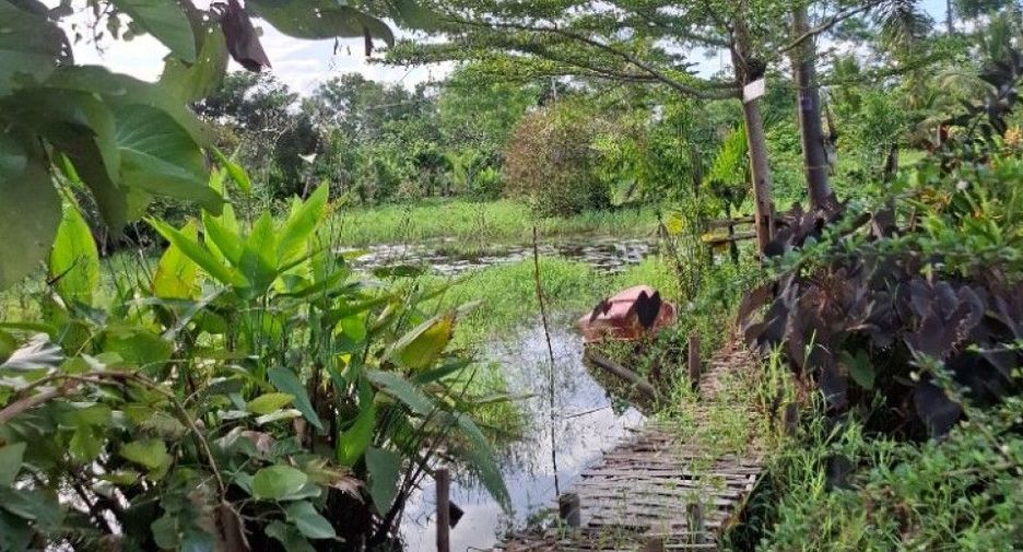 For sale land in Wiang Chiang Rung, Chiang Rai