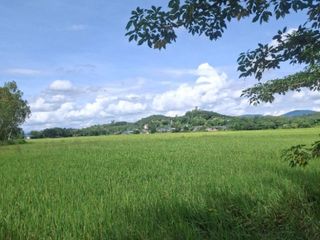For sale land in Wiang Chiang Rung, Chiang Rai