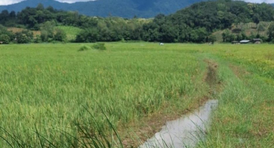 For sale land in Wiang Chiang Rung, Chiang Rai