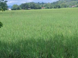 For sale land in Wiang Chiang Rung, Chiang Rai