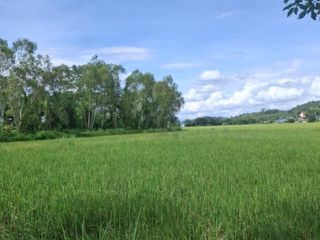 For sale land in Wiang Chiang Rung, Chiang Rai