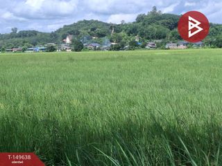 For sale land in Wiang Chiang Rung, Chiang Rai
