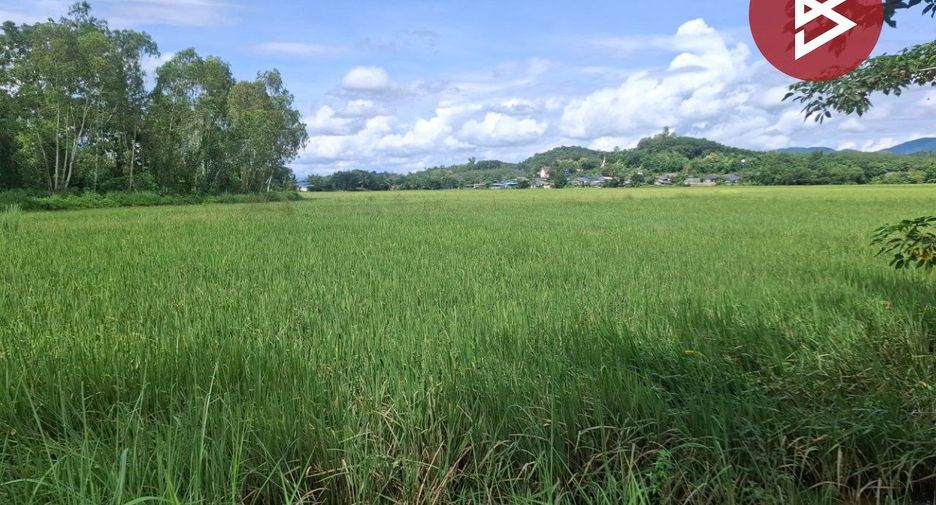 For sale land in Wiang Chiang Rung, Chiang Rai