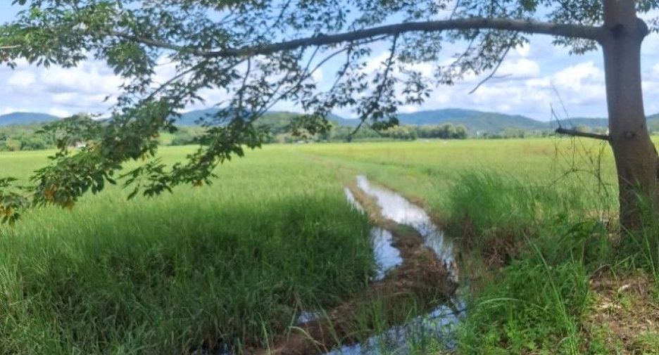 For sale land in Wiang Chiang Rung, Chiang Rai