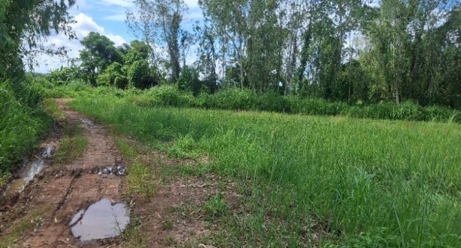 For sale land in Wiang Chiang Rung, Chiang Rai