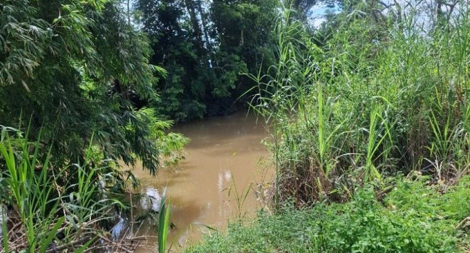 For sale land in Wiang Chiang Rung, Chiang Rai