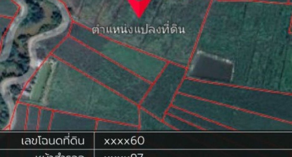 For sale land in Wiang Chiang Rung, Chiang Rai