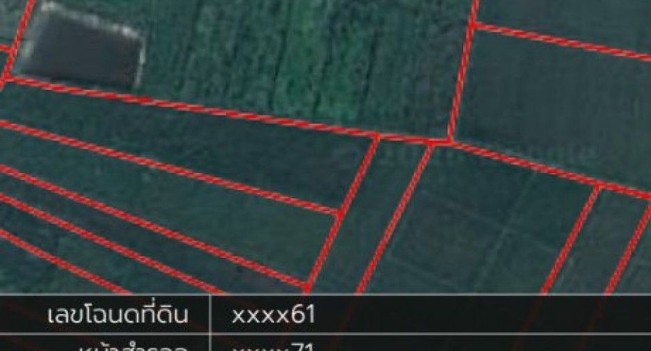 For sale land in Wiang Chiang Rung, Chiang Rai