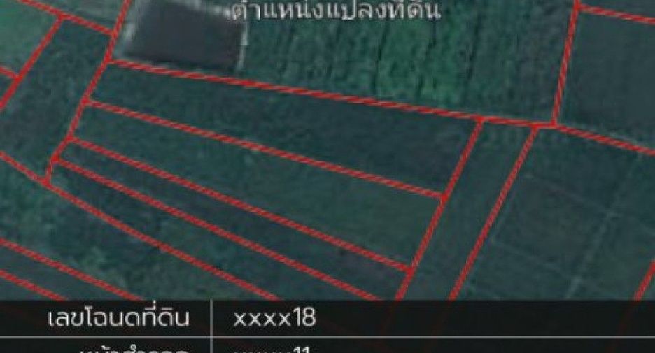 For sale land in Wiang Chiang Rung, Chiang Rai